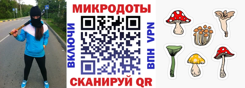 Псилоцибиновые грибы Psilocybe  Купить где  Ухта 